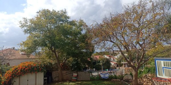Backyard | Garden Duplex in Sheinfeld, Beit Shemesh | Josh Epstein Realty