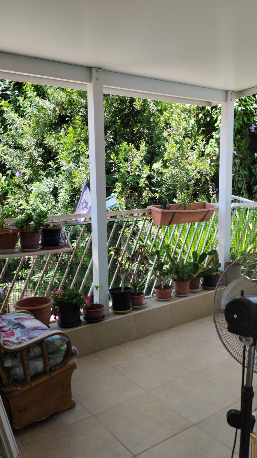 WhatsApp Image 2025-11-16 at 08.15.58