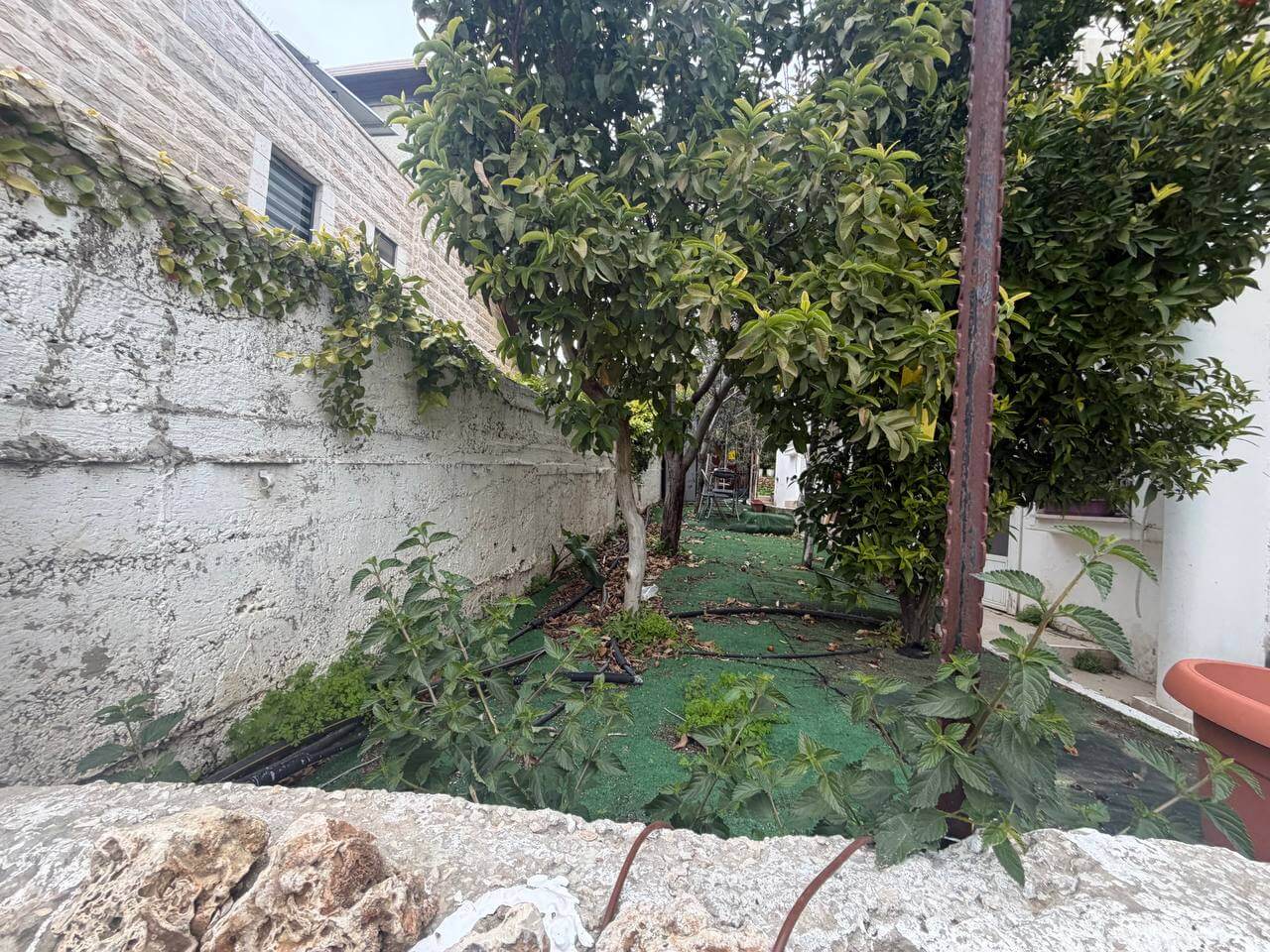 WhatsApp Image 2026-02-17 at 14.38.42 (4)